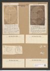 Orthoneis punctatissima (Grev.) Lagerst. (de-Toni-Nr.: Genus 41, Species 1910) Zeichnungen Sammlung Grunow Nr. 3790 (NHMW-BOT-W0371464)
